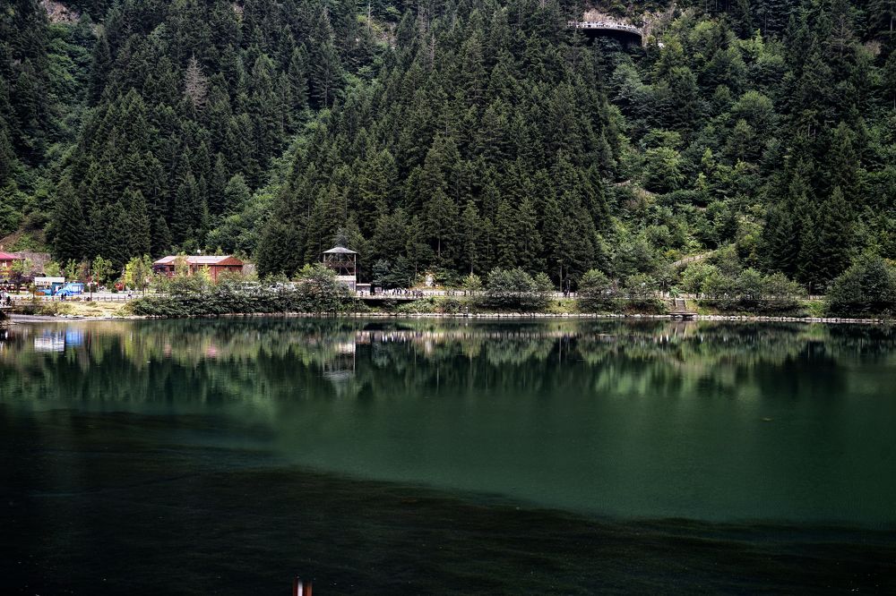 Photograph by Muzaffer Sütlüoğlu