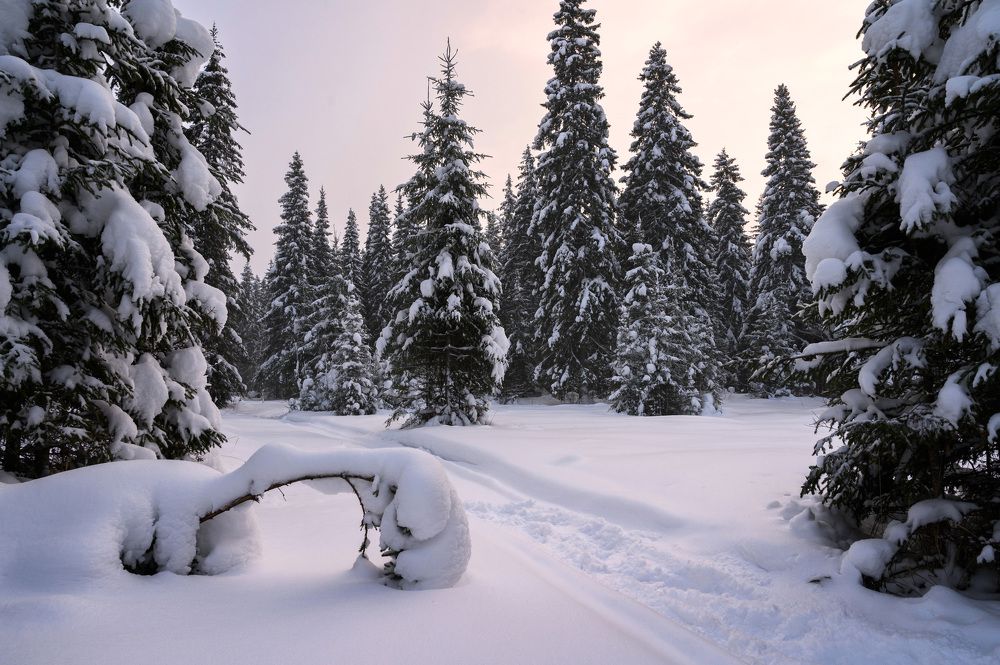 Photograph by Алексей Турчин