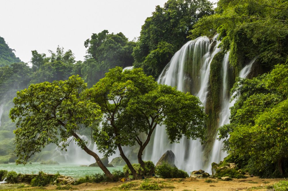 Фотография автора Quan Hung