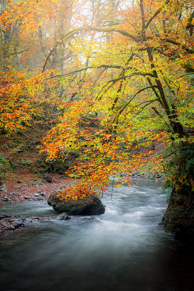 Фотография автора Ali Rouhi