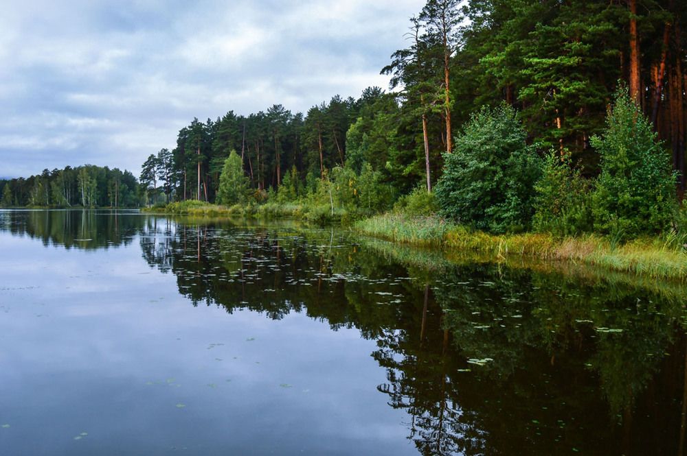 Photograph by Ирина Александрович