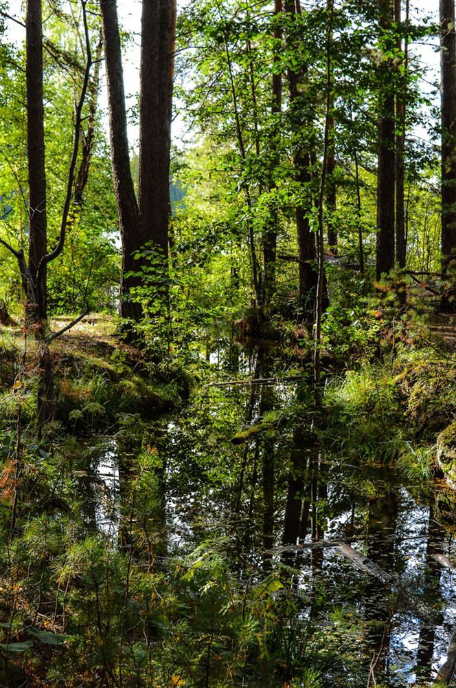 Photograph by Ирина Александрович