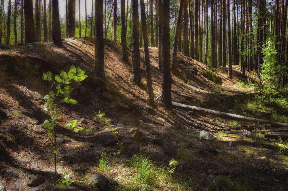 Photograph by Ирина Александрович