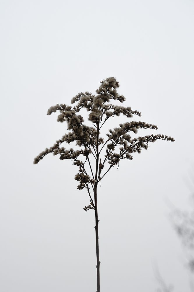 Photograph by Виктория Фомина