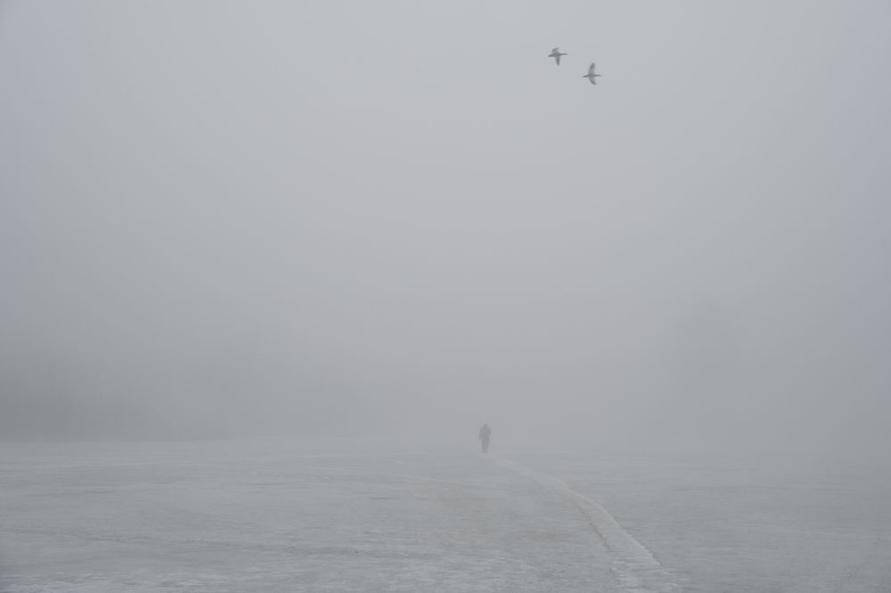 Photograph by Виктория Фомина