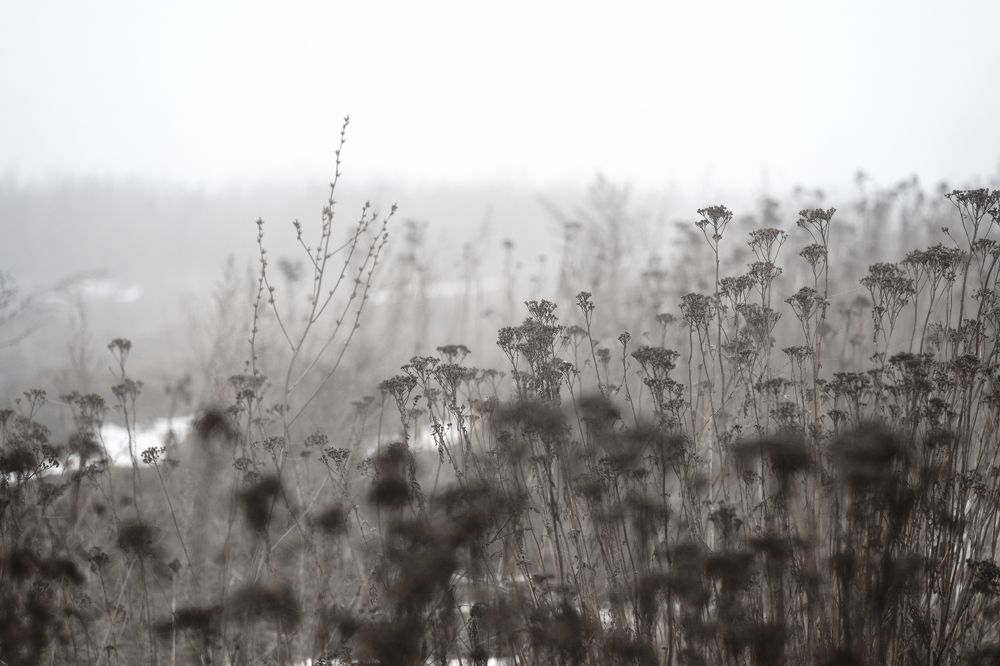 Photograph by Виктория Фомина