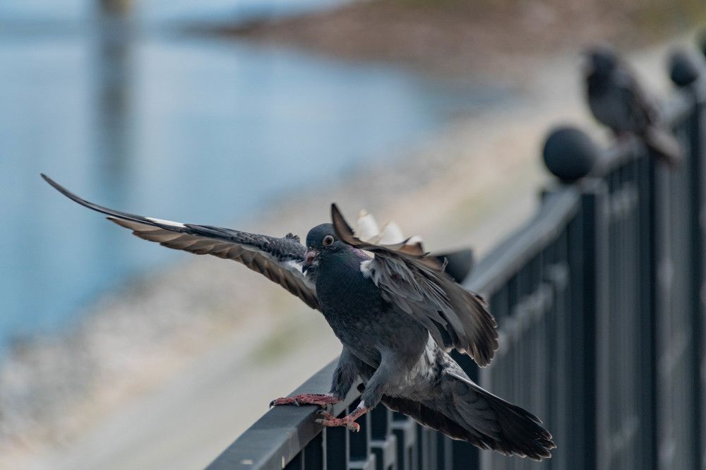 Photograph by Андрей Бородкин