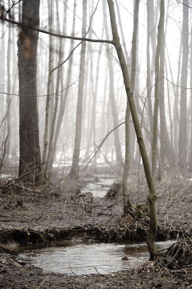 Photograph by Виктория Фомина