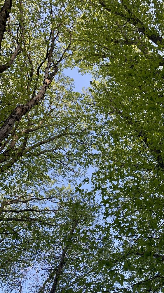 Photograph by Рузанна Гюрджян