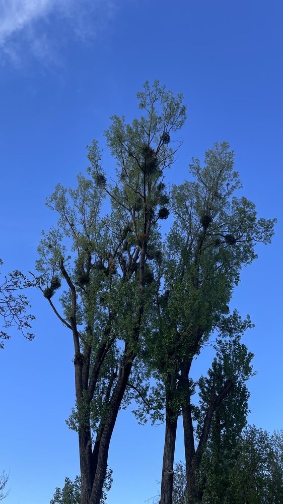 Photograph by Рузанна Гюрджян