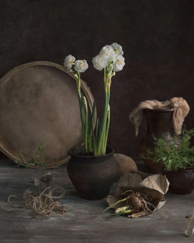 Photograph by Анастасия Тимарг