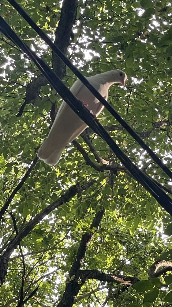 Photograph by Рузанна Гюрджян