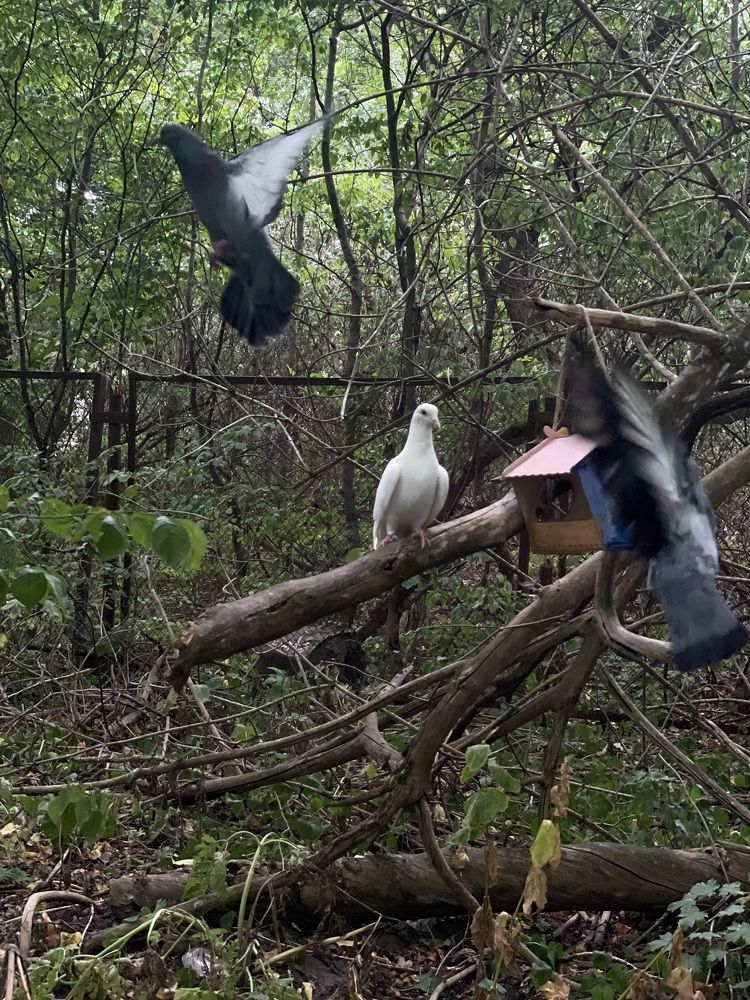 Photograph by Рузанна Гюрджян