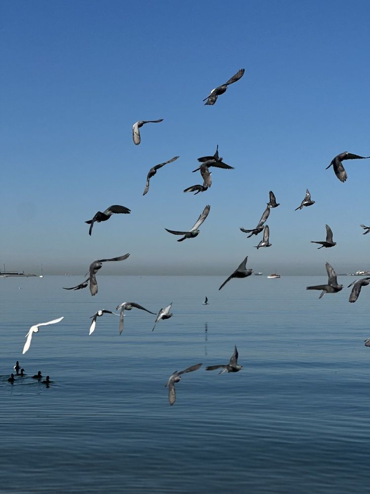 Photograph by Ksenia Sinitskaja