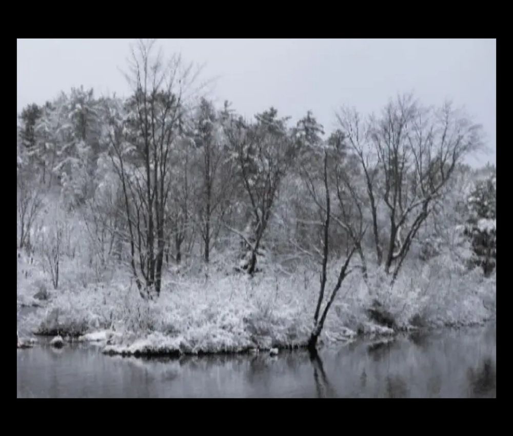 Photograph by Dennise Treijs