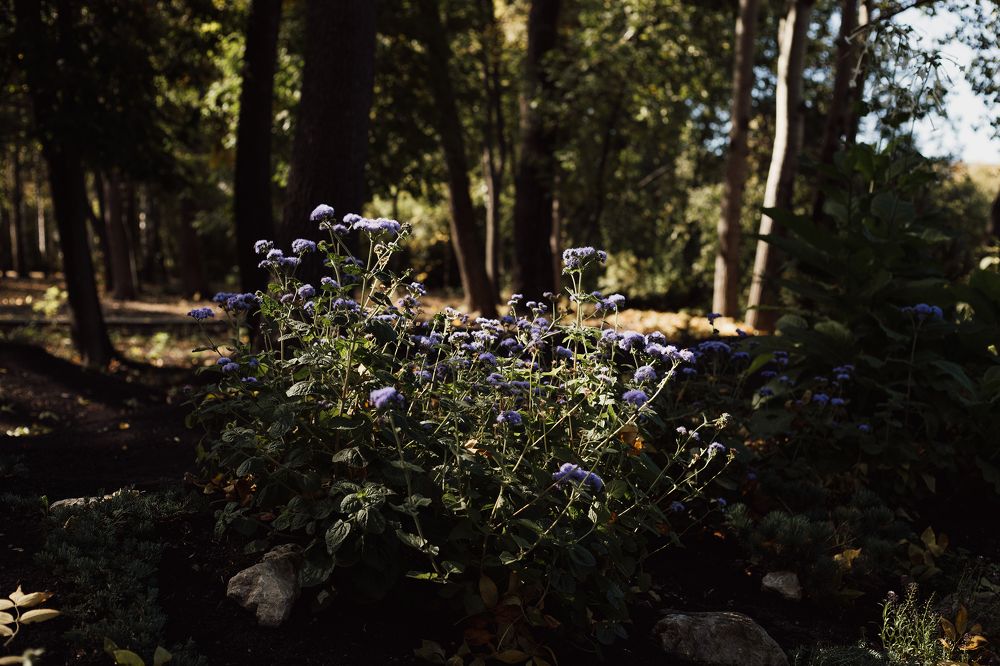 Фотография автора Дарина Фельдман