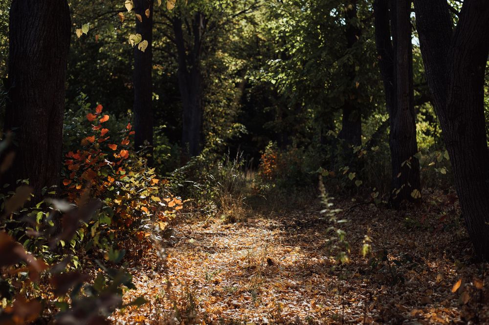 Фотография автора Дарина Фельдман