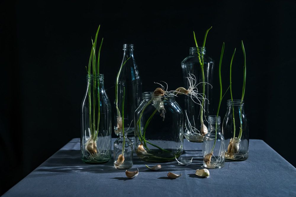 Photograph by Анастасия Тимарг