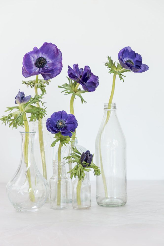 Photograph by Анастасия Тимарг