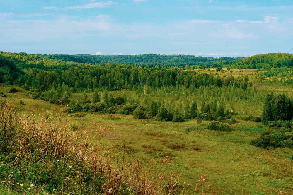 Photograph by Галина Андреева