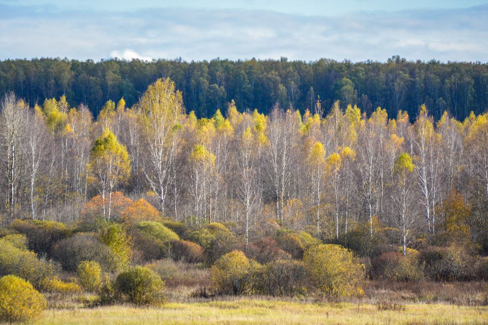 Photograph by Анастасия Гурова