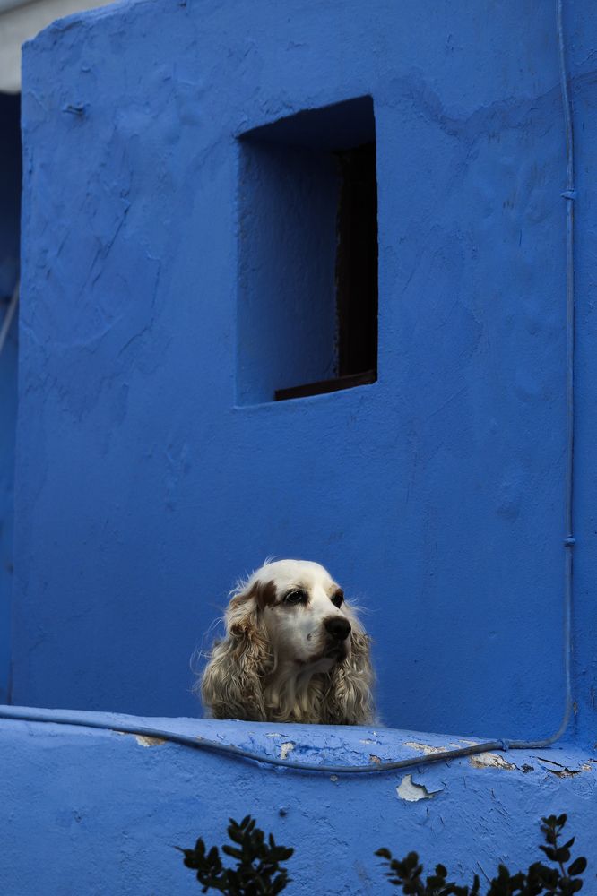 Фотография автора Inga Ivanova