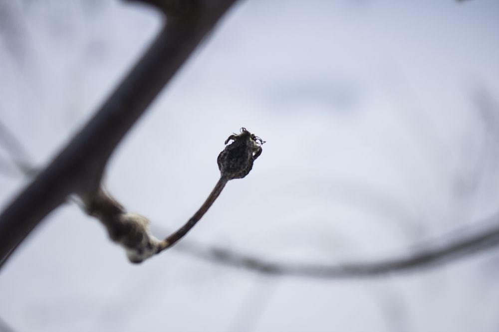 Photograph by Дарья Беляева