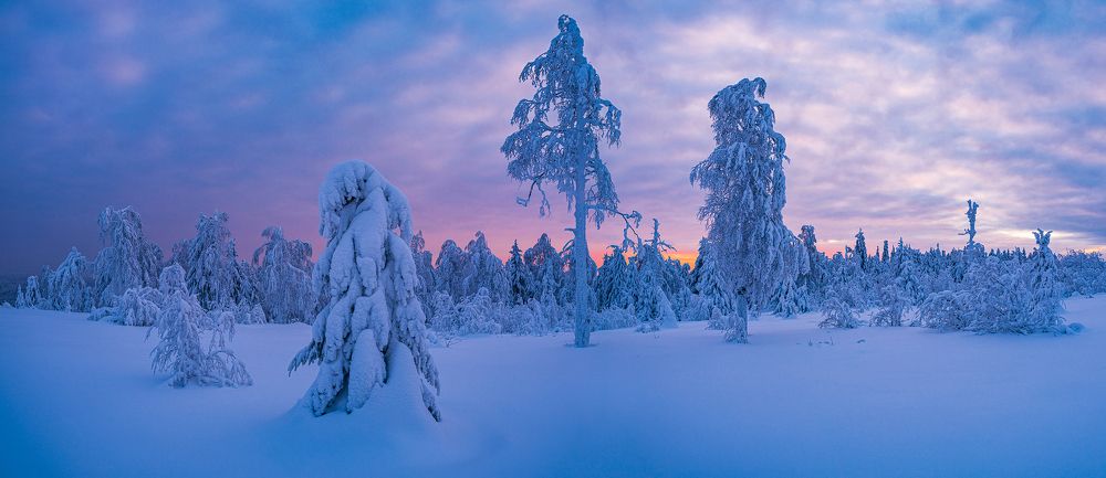 Photograph by Евгений Кармаев