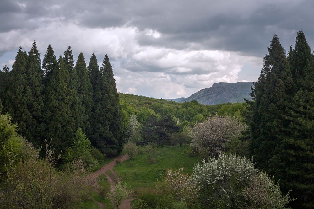 Photograph by Олег Ибрагимов