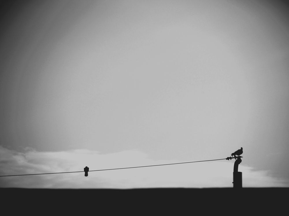 Photograph by WEONBAE PARK