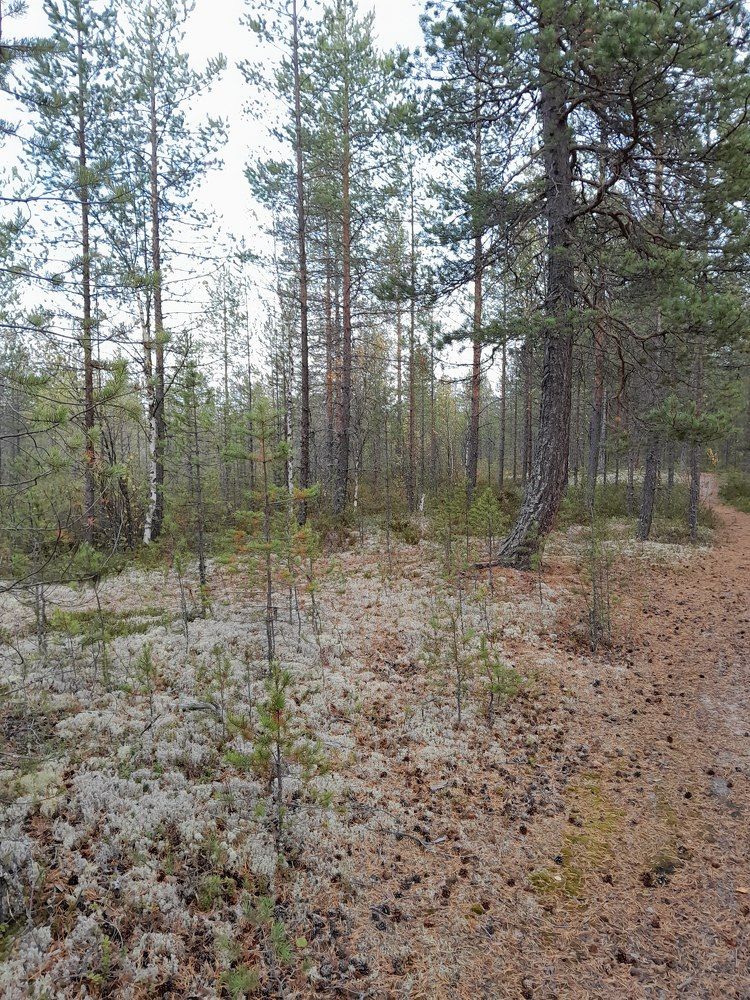 Photograph by Виталий Глазачев