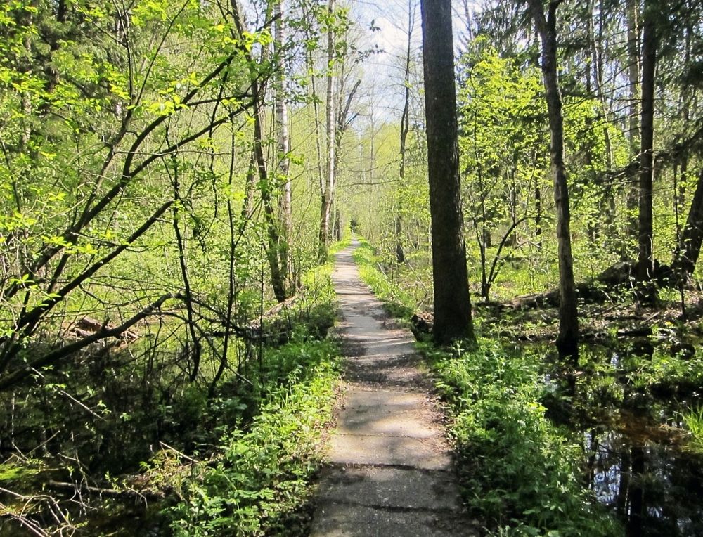 Photograph by Sergey Kurkov-Tarkovsky