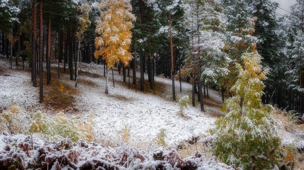 Photograph by Вадим Басов