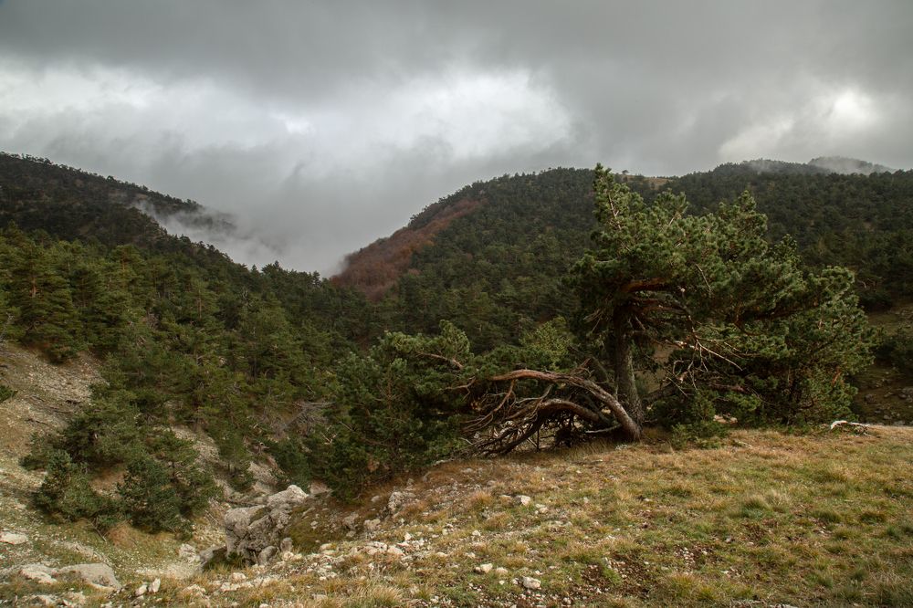 Photograph by Олег Ибрагимов