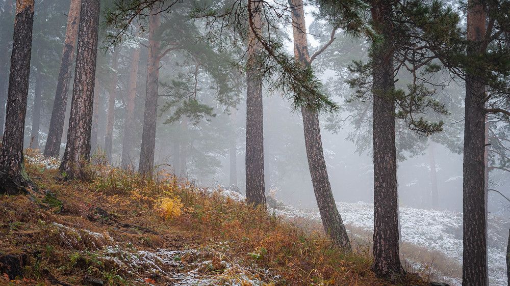 Photograph by Вадим Басов