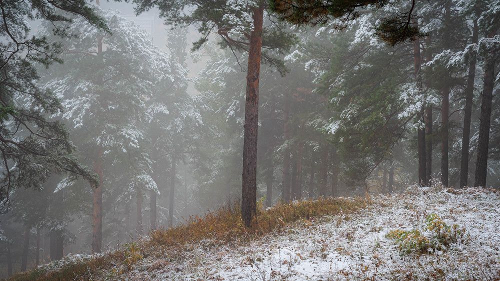 Photograph by Вадим Басов