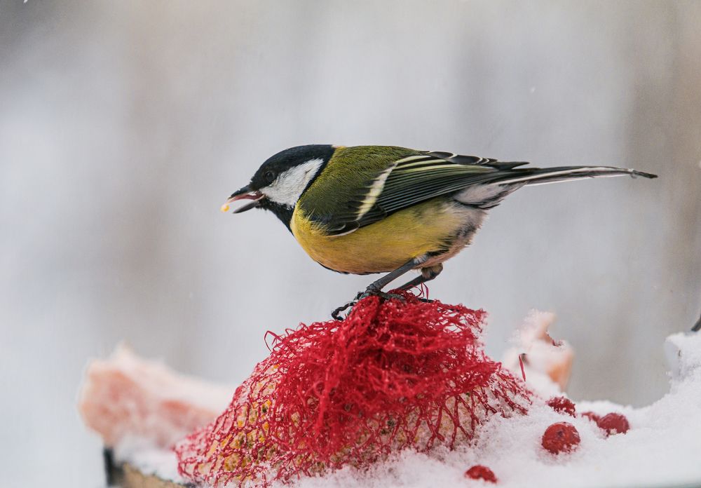 Photograph by Виталий Са