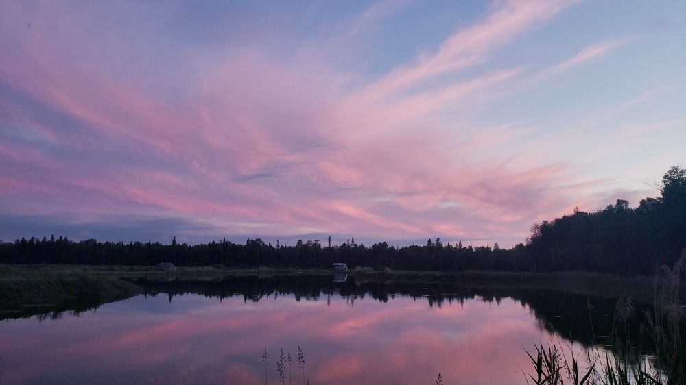 Photograph by Dennise Treijs