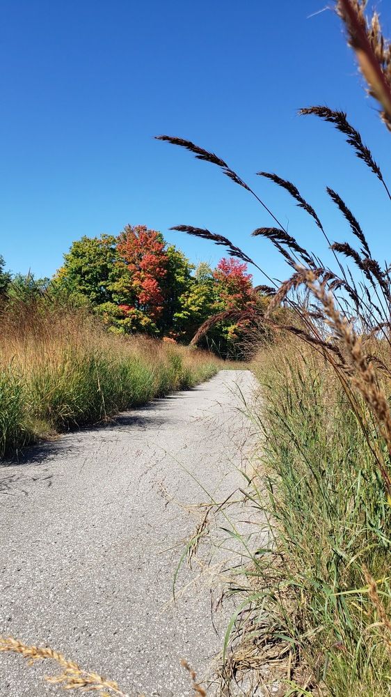 Photograph by Dennise Treijs