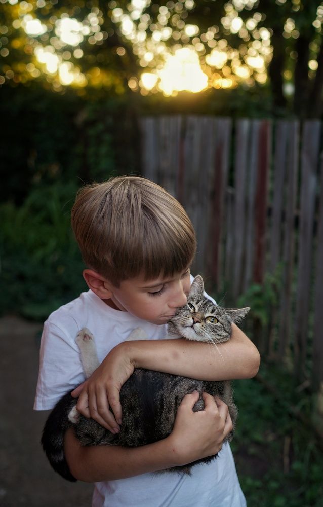 Дачные зарисовки