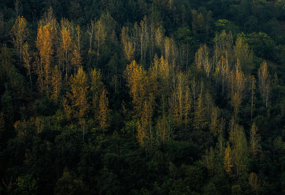 Photograph by hasan sorena jouri