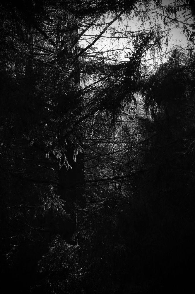 Photograph by Григоренко Семён