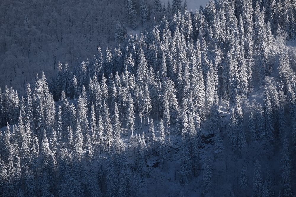 Photograph by Григоренко Семён