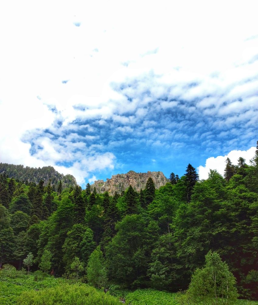 Photograph by Юлия Коробкова