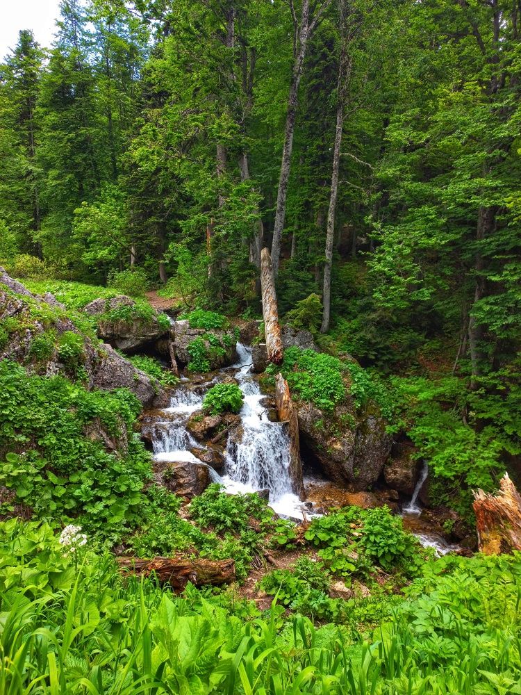 Photograph by Юлия Коробкова