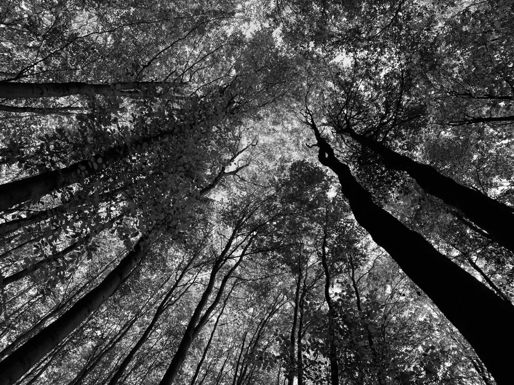 Photograph by Григоренко Семён