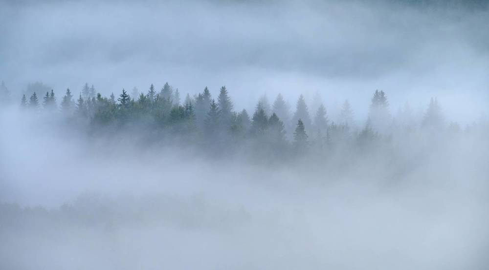 Photograph by Roman Dmitriev