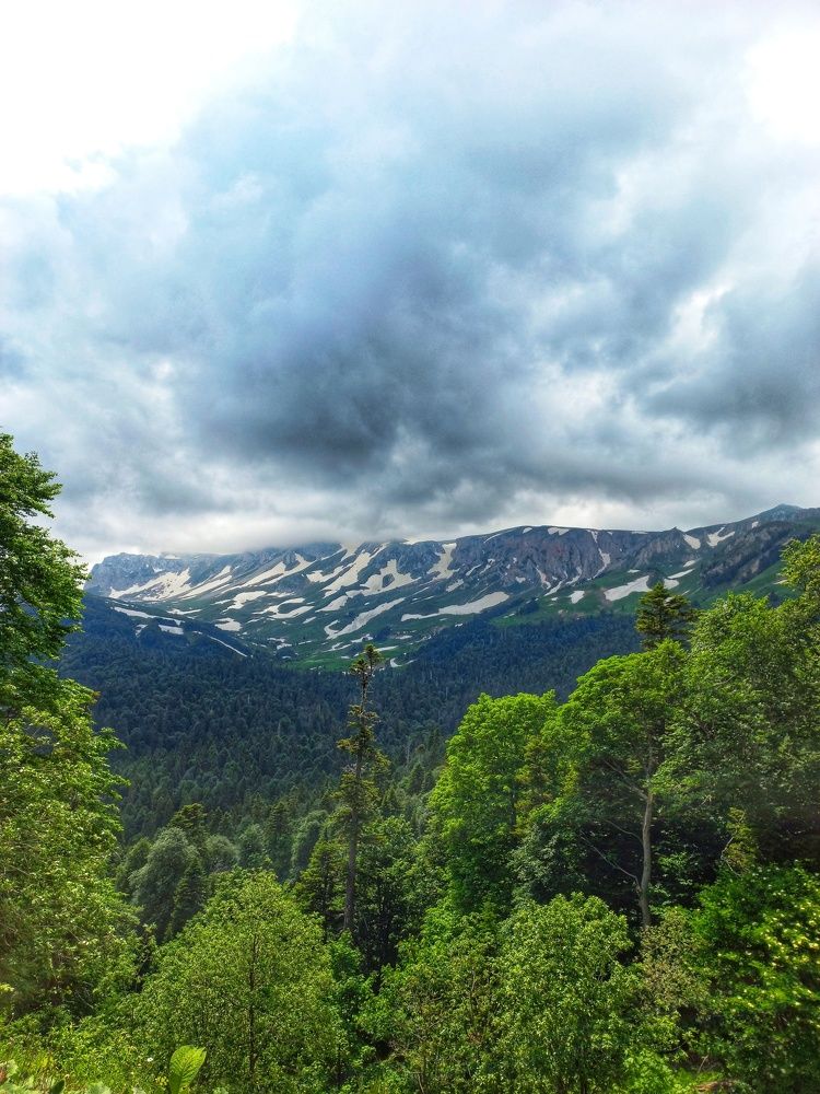 Photograph by Юлия Коробкова