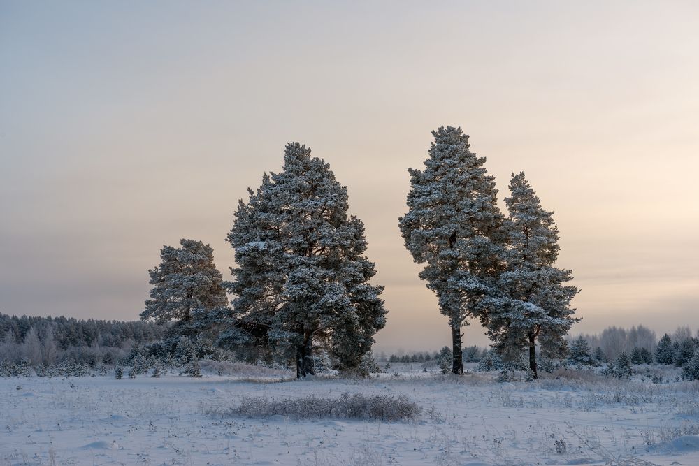 Photograph by Андрей Овсов