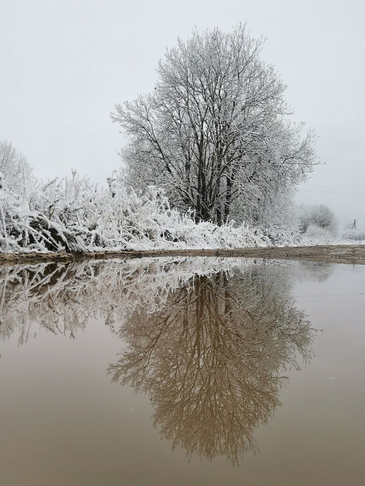 Фотография автора Андрей Шестаков